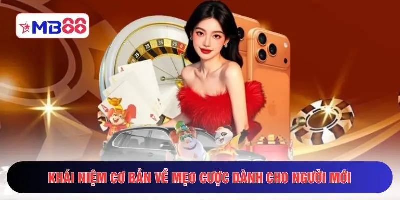 Khái niệm cơ bản về mẹo cược dành cho người mới