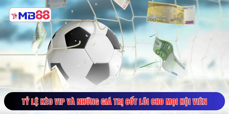 Tỷ lệ kèo VIP và những giá trị cốt lõi cho mọi hội viên